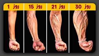 3 تمرین فوق العاده برای ساخت عضلات حجیم و زیبای مچ و ساعد در 30 روز