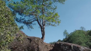 قسمت یازدهم سریال چینی عشق تا ابد جوان Love forever young ep11