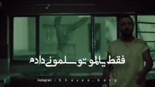 شایع : من اون شیرم که گرگ ببر رو . . . .