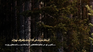 زیارت آل یاسین با صدای دلنشین