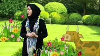 آوا صدای گ/مرجان چرخی