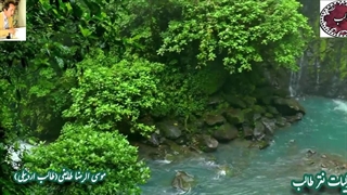 بر سپهر ادبیات ایرانی با ترانه و ترنم در شور و تغزل شعر افسانه ی عاشقانه از غزلیات استاد غزل موسی الرضا طایفی(طالب اردبیلی)