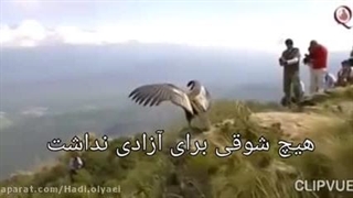 لوله بازکنی رودهن پردیس بومهن ۰۹۳۸۹۰۹۰۹۷۲