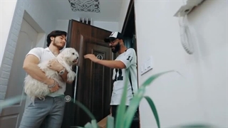 خدمات حیوانات خانگی در محل با تیپ چین