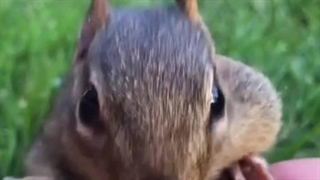 지성아 생일 축하해♡سنجاب جذابم تولدت مبارک♡♡