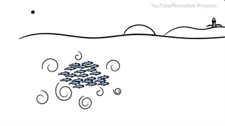 زندگی جنسی ماهی آنچوی و تاثیر آن بر اختلاط اقیانوس ها