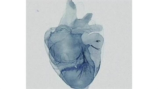 تایپ ها از درونگرا به برونگرا ⁦:-)⁩