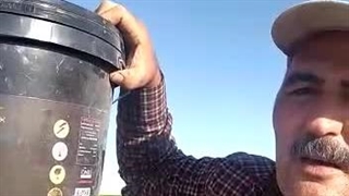 رضایت مشتریان آل کیوان برای استفاده از کودهای مایع شوک