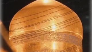 امام رضا منو صدا کن...