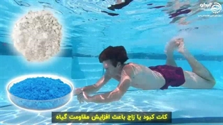 استفاده مجدد از آب استخر برای آبیاری، راهنمای جامع آبیکو