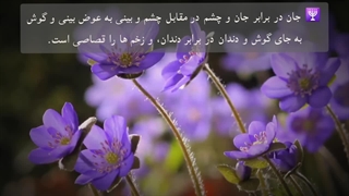 <وا عجبا>