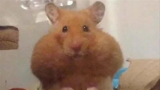 *بر اساس واقعیت*......