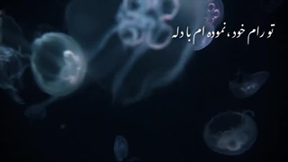 سال نو مبارک همگی ... کپشن