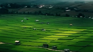 حتی سرسبز ترین ، نقطه اروپا هم ، عطر شالیزار های شمال رو نداره!!!!!!!