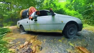 تانک 300 یا وانت آریسان یک