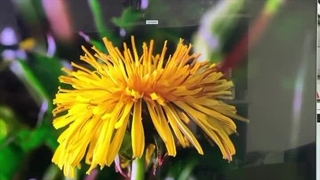 جدید ترین تلویزیون برند سامسونگ