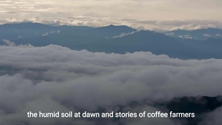 ابزار باریستا