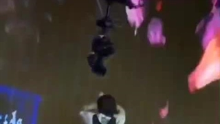 این داستان بنگچای کوچولو و دوربین