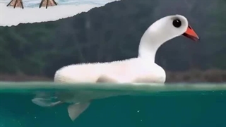 این کلیپ چقدر خوب بود، زنده شدن نقاشی بچه ها