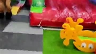 اجاره انواع تن‌پوش عروسکی ۰۹۱۰۳۷۹۹۴۶۶تماس