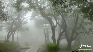 But the color GREEN in nature is BEAUTIFUL in a different way✨️