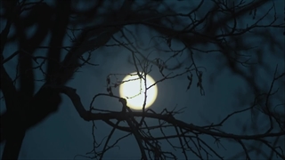 سریال عشق ناب Such a Good Love 2025 قسمت 6 با زیرنویس فارسی 1080p