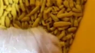 دستگاه آسیاب 20اسب اسوه صنعت اصفهان09134310955