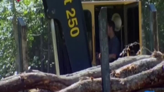 چوب بران باتلاق 28 بهمن 1402