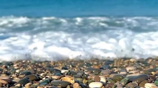 پارت سی و یکم رمان THE EDICTION (اعتیاد)