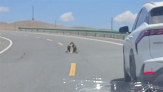 گشنمه... هرکس هرچی خاست اپلود کنم بهم بگین^-ـــ-^